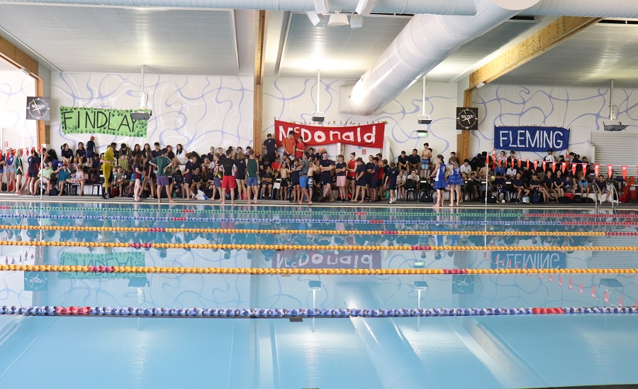 Fun and Excitement at Swimming Sports Day